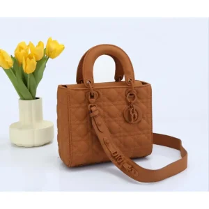 Dior Handbag For Women