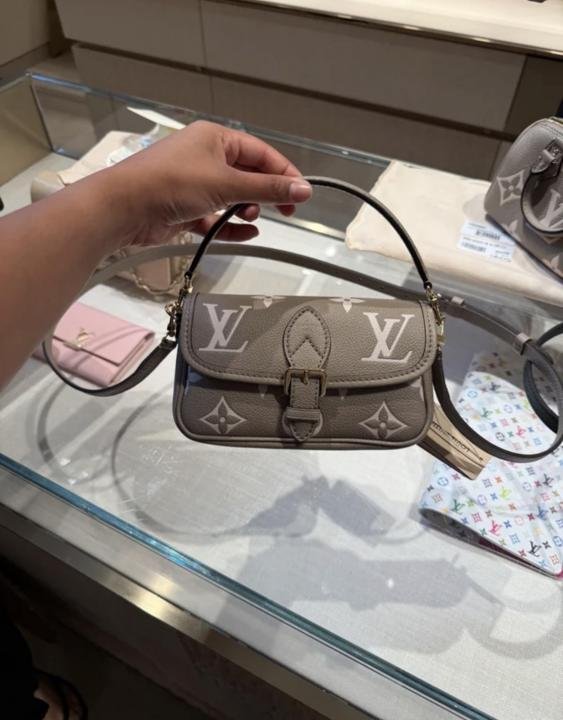 Louis Vuitton Bag
