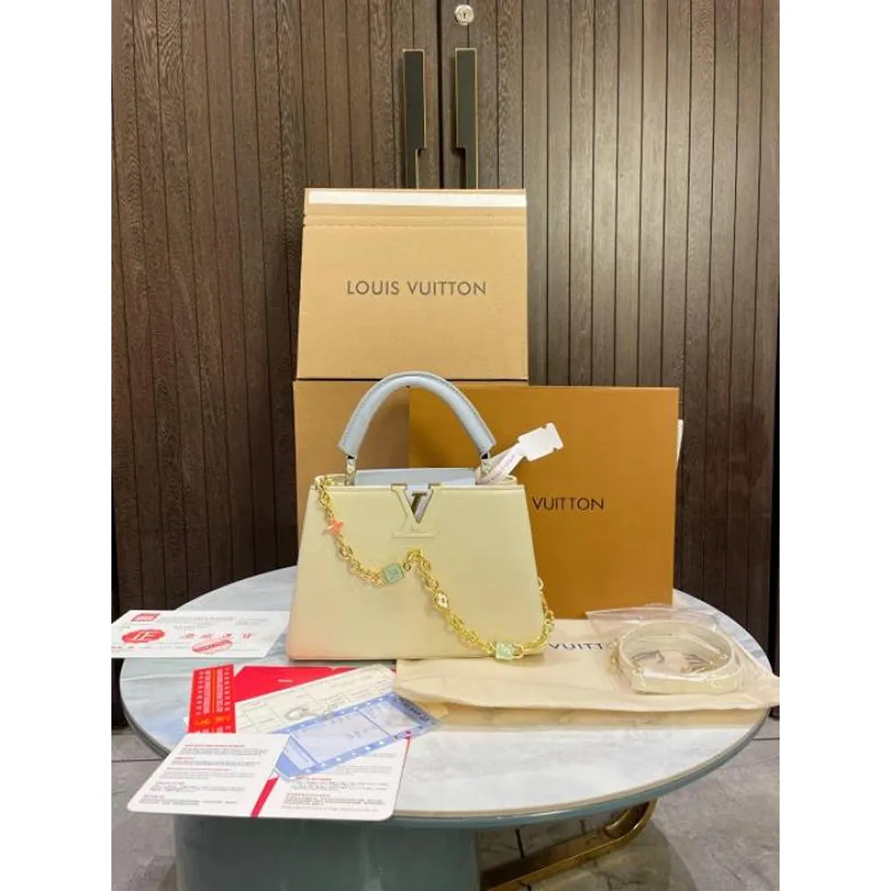 Louis Vuitton Handbag